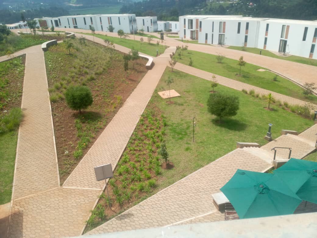 Disability awareness week